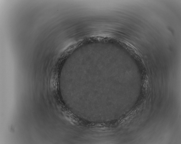 X0000111521014200908041239