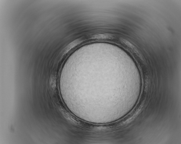 X0000111521017200908041239