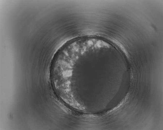 X0000111521023200908041239