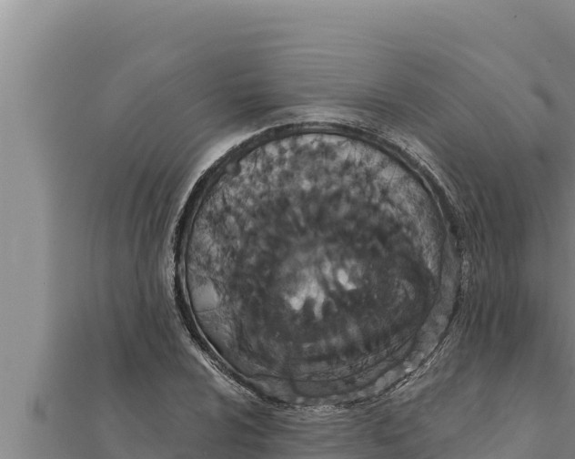 X0000111521024200908041239