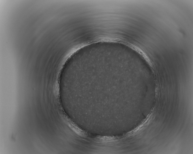 X0000111521027200908041239