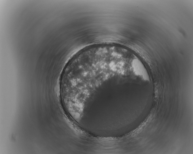 X0000111521031200908041239
