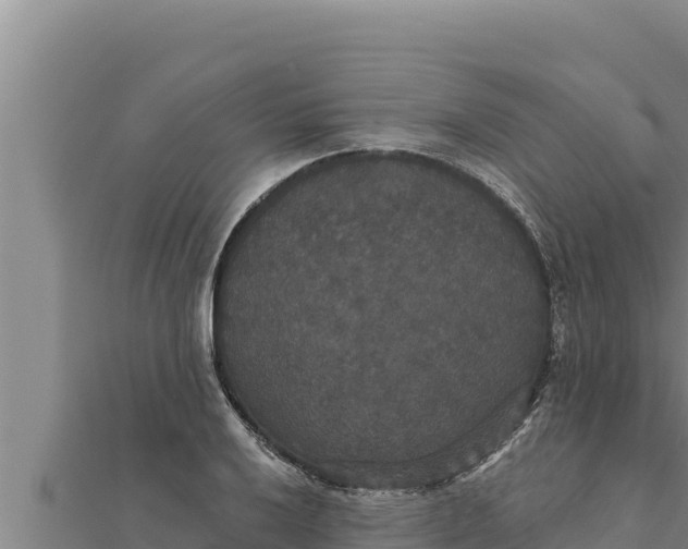 X0000111521032200908041239