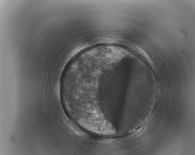 X0000111521035200908041239