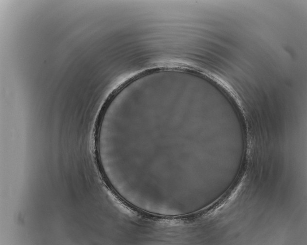 X0000111521037200908041239