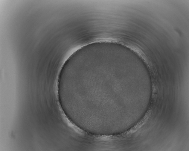 X0000111521038200908041239