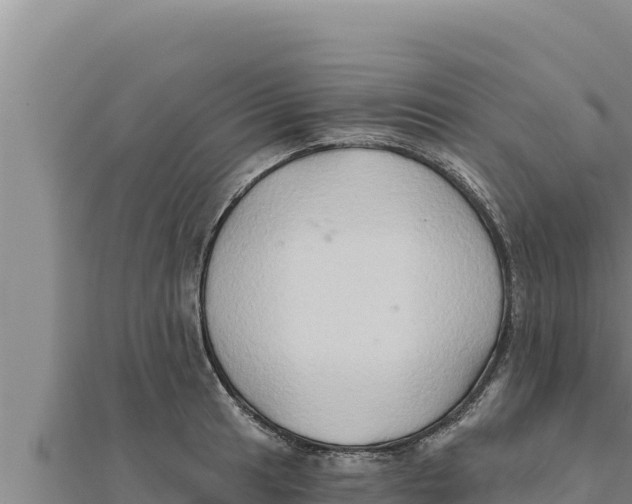 X0000111521041200908041239