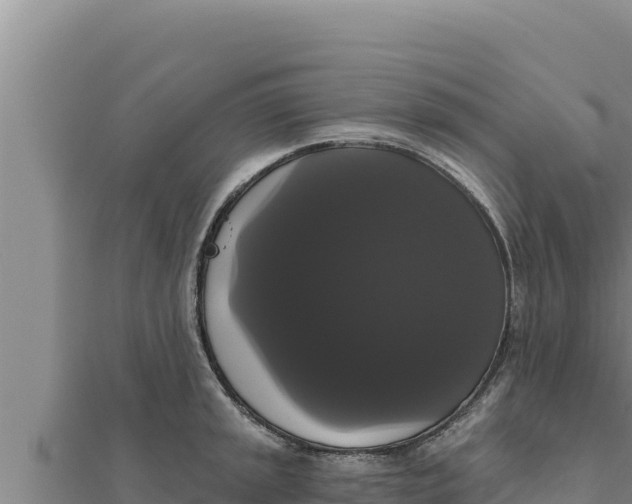 X0000111521045200908041239