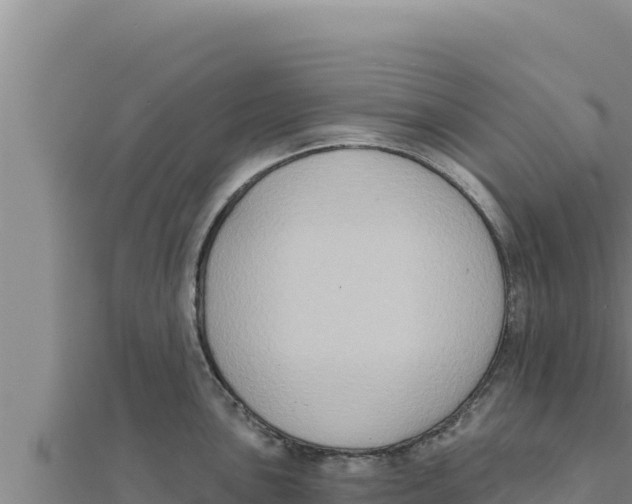 X0000111521051200908041239