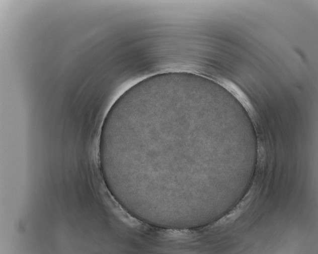 X0000111521052200908041239