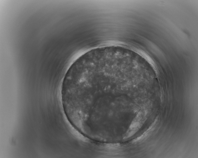X0000111521055200908041239