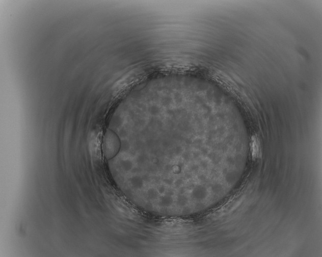 X0000111521059200908041239