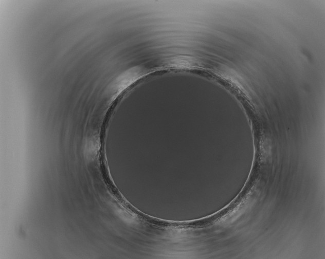 X0000111521065200908041239
