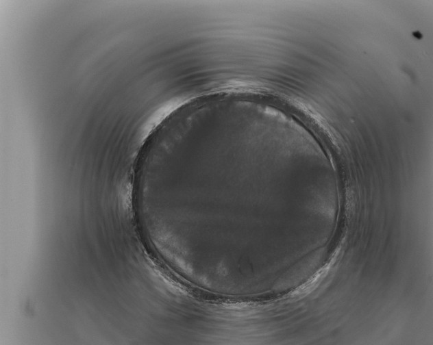 X0000111521066200908041239
