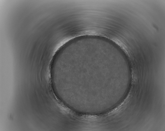X0000111521070200908041239