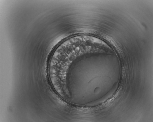 X0000111521071200908041239