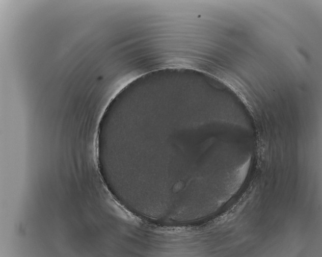 X0000111521076200908041239
