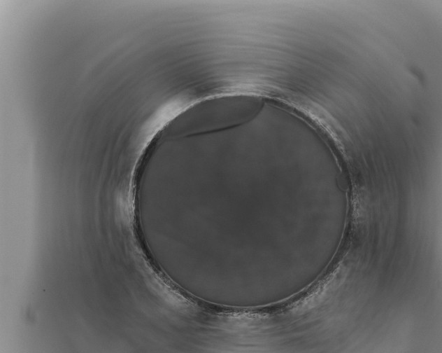 X0000111521077200908041239