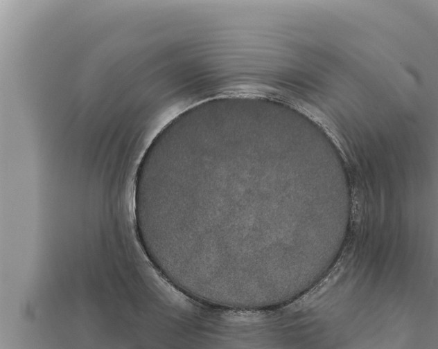 X0000111521083200908041238