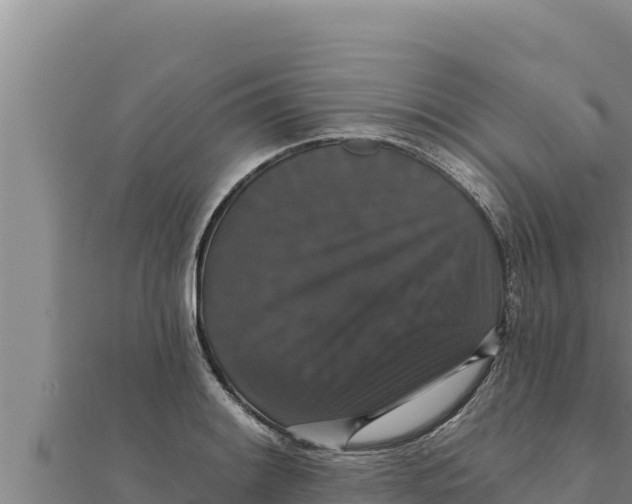 X0000111521084200908041238