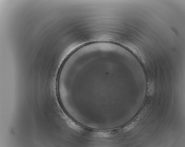 X0000111521086200908041238
