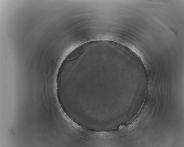 X0000111521088200908041238