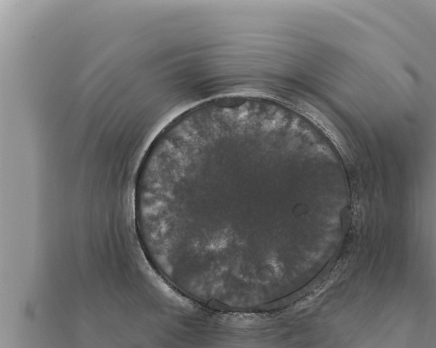 X0000111521092200908041238