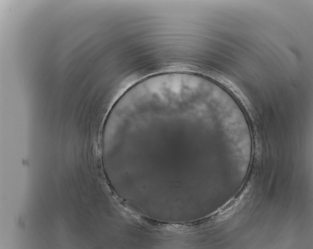 X0000111521097200908041238