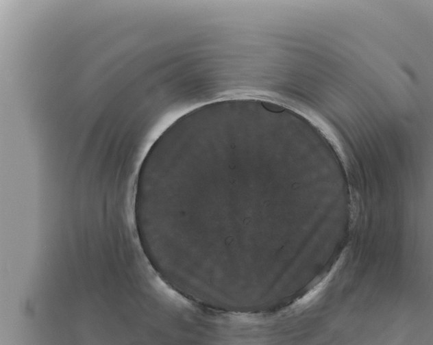 X0000111521102200908041238
