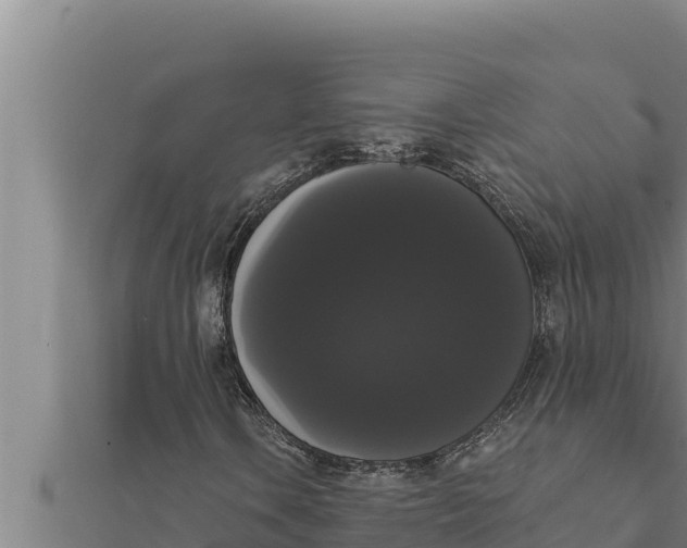 X0000111521106200908041238
