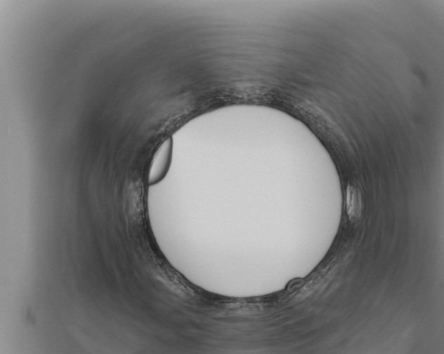 X0000111521107200908041238