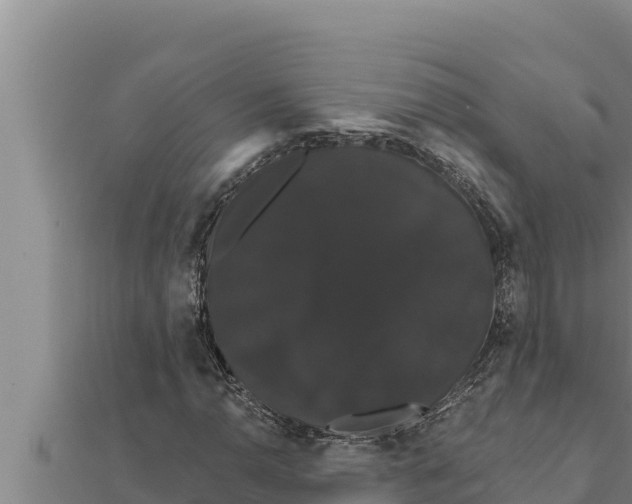 X0000111521110200908041238
