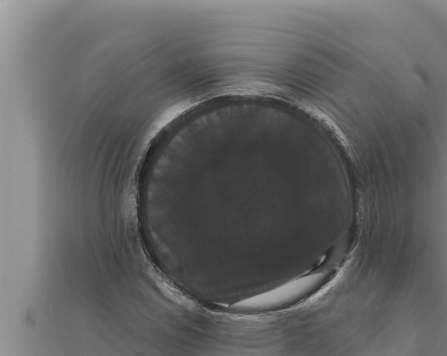 X0000111521114200908041238