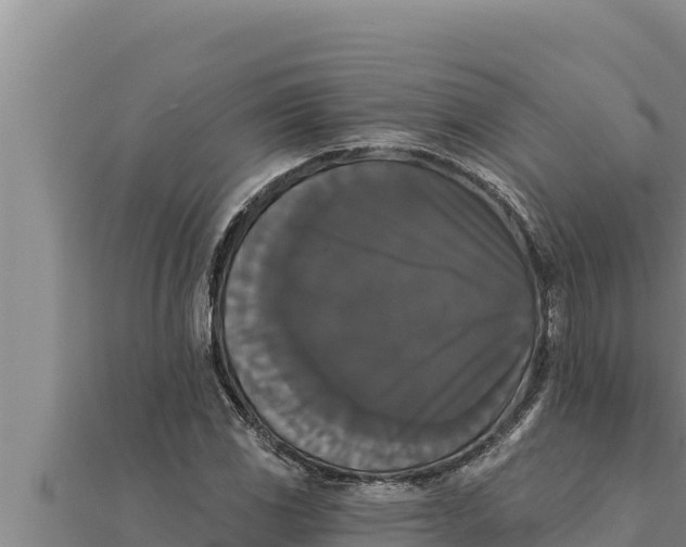 X0000111521117200908041238