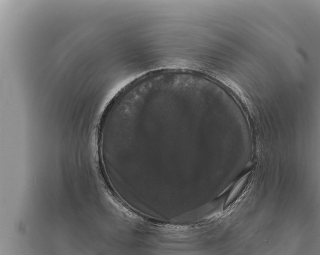 X0000111521120200908041238