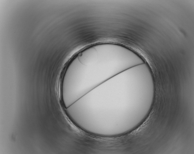X0000111521127200908041238