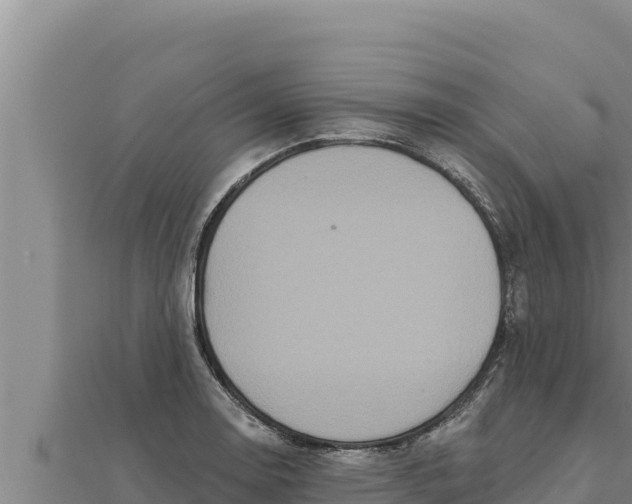 X0000111521130200908041238