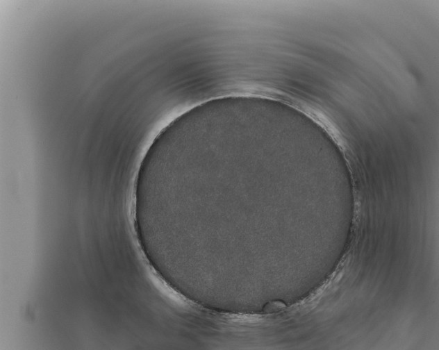 X0000111521136200908041238