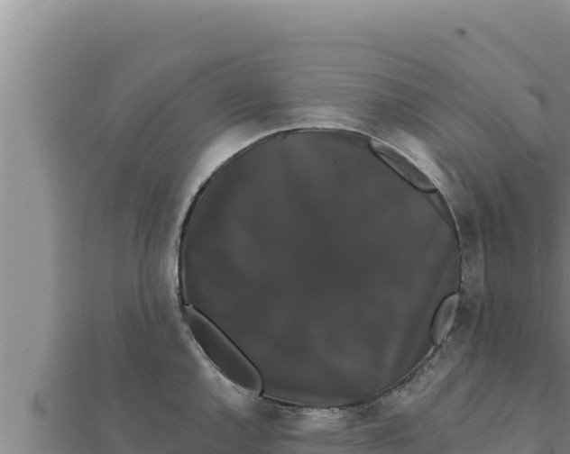 X0000111521144200908041238