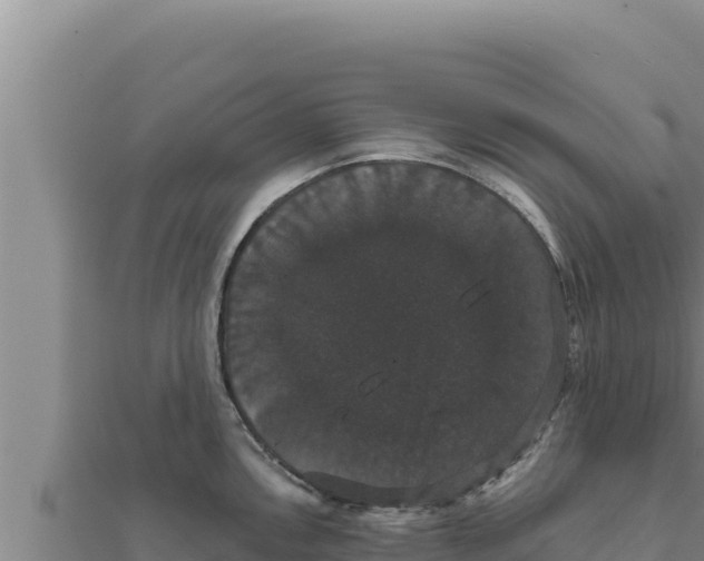 X0000111521146200908041238