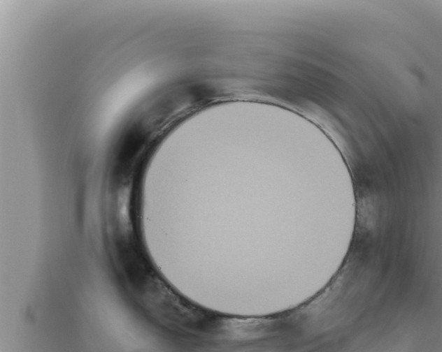 X0000111521150200908041238