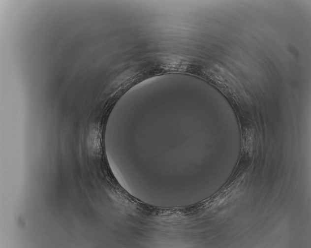 X0000111521154200908041238