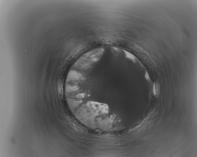 X0000111521155200908041238