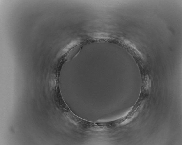 X0000111521157200908041238