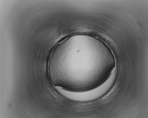X0000111521161200908041237