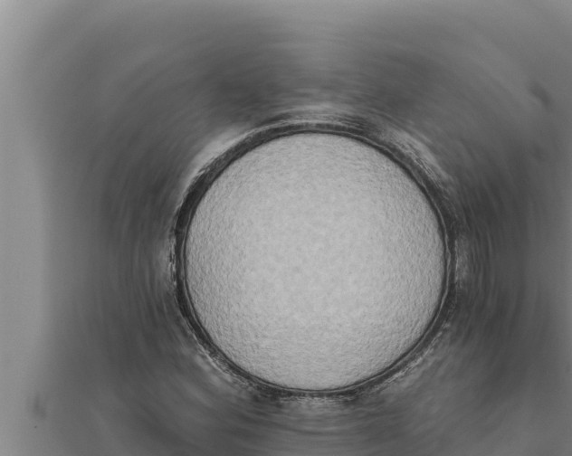 X0000111521164200908041237