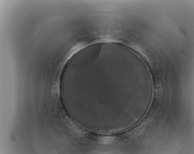 X0000111521173200908041237