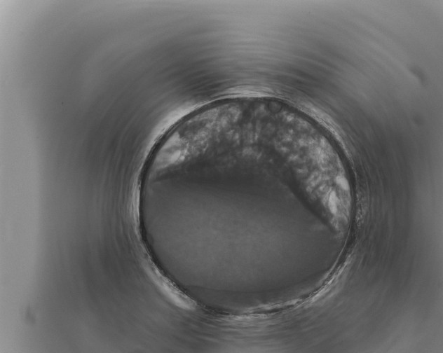X0000111521179200908041237