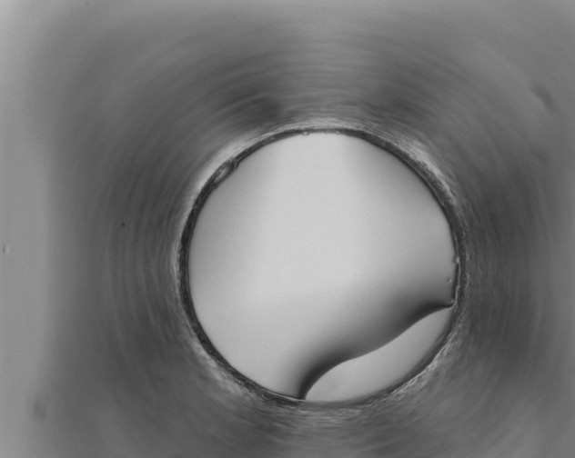 X0000111521181200908041237