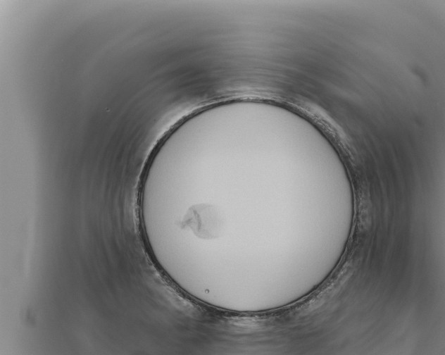 X0000111521182200908041237